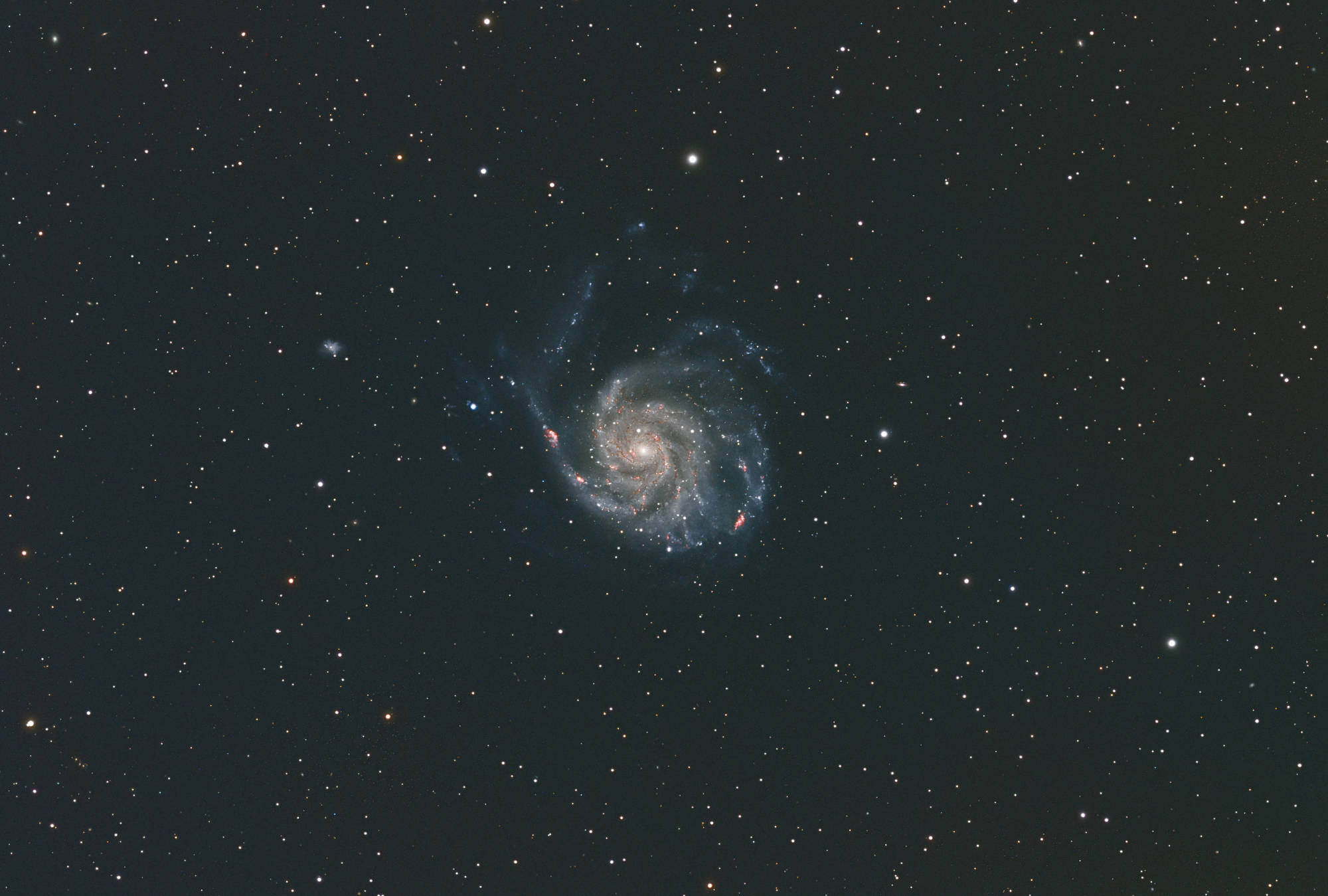 Pinwheel Galaxy - M 101