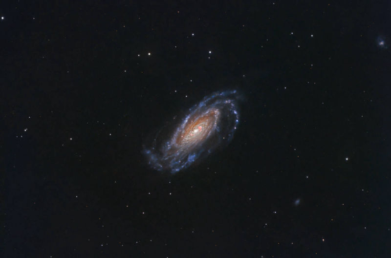 NGC 5033 - Waterbug Galaxy
