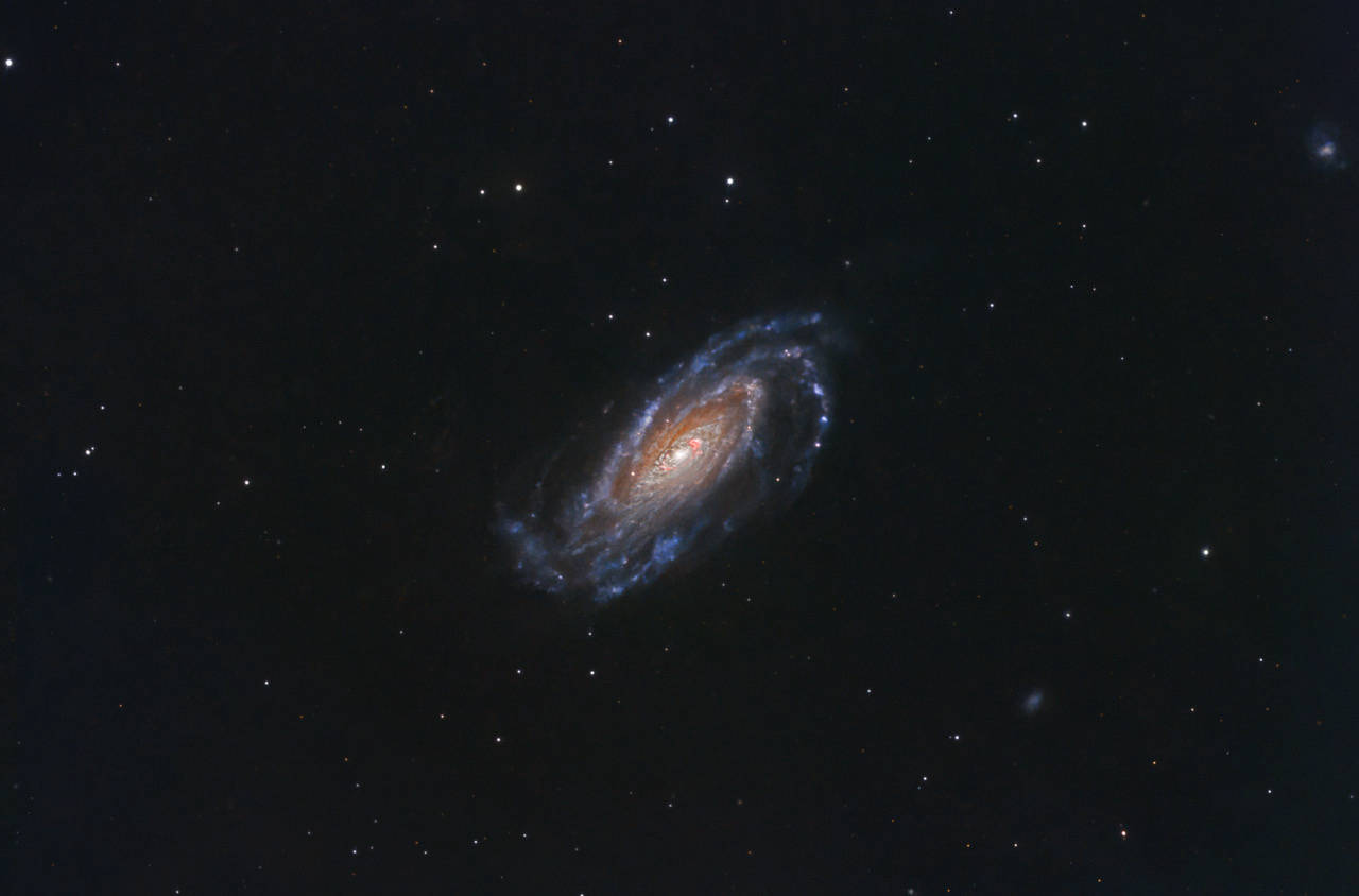 NGC 5033 - Waterbug Galaxy